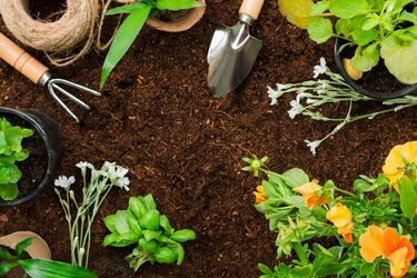 Названы растения, которые нужно обязательно успеть высадить на огороде к Пасхе