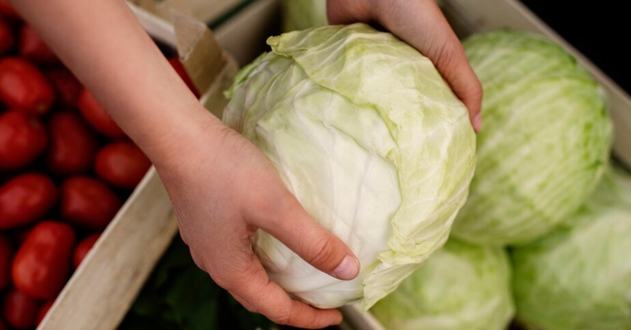 Цены обвалились на четверть за неделю: в Украине подешевел очень популярный овощ