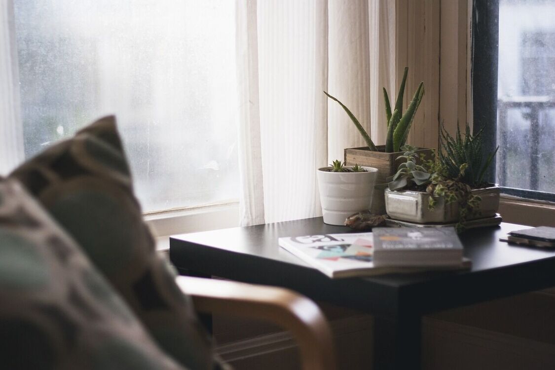 Очищають повітря і покращують сон: названо рослини, які обов’язково варто тримати у спальні