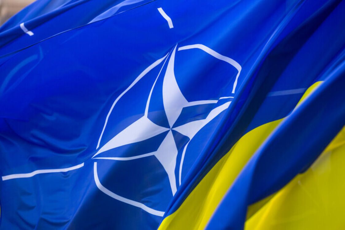 Україна стане членом НАТО тоді і тільки тоді, коли це буде питанням виживання для Європи
