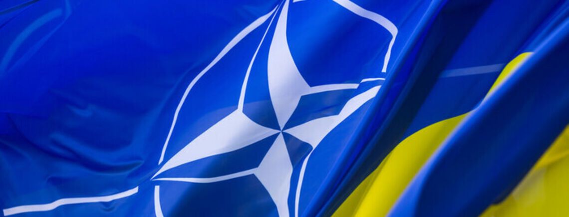 Украина станет членом НАТО тогда и только тогда, когда это будет вопросом выживания для Европы