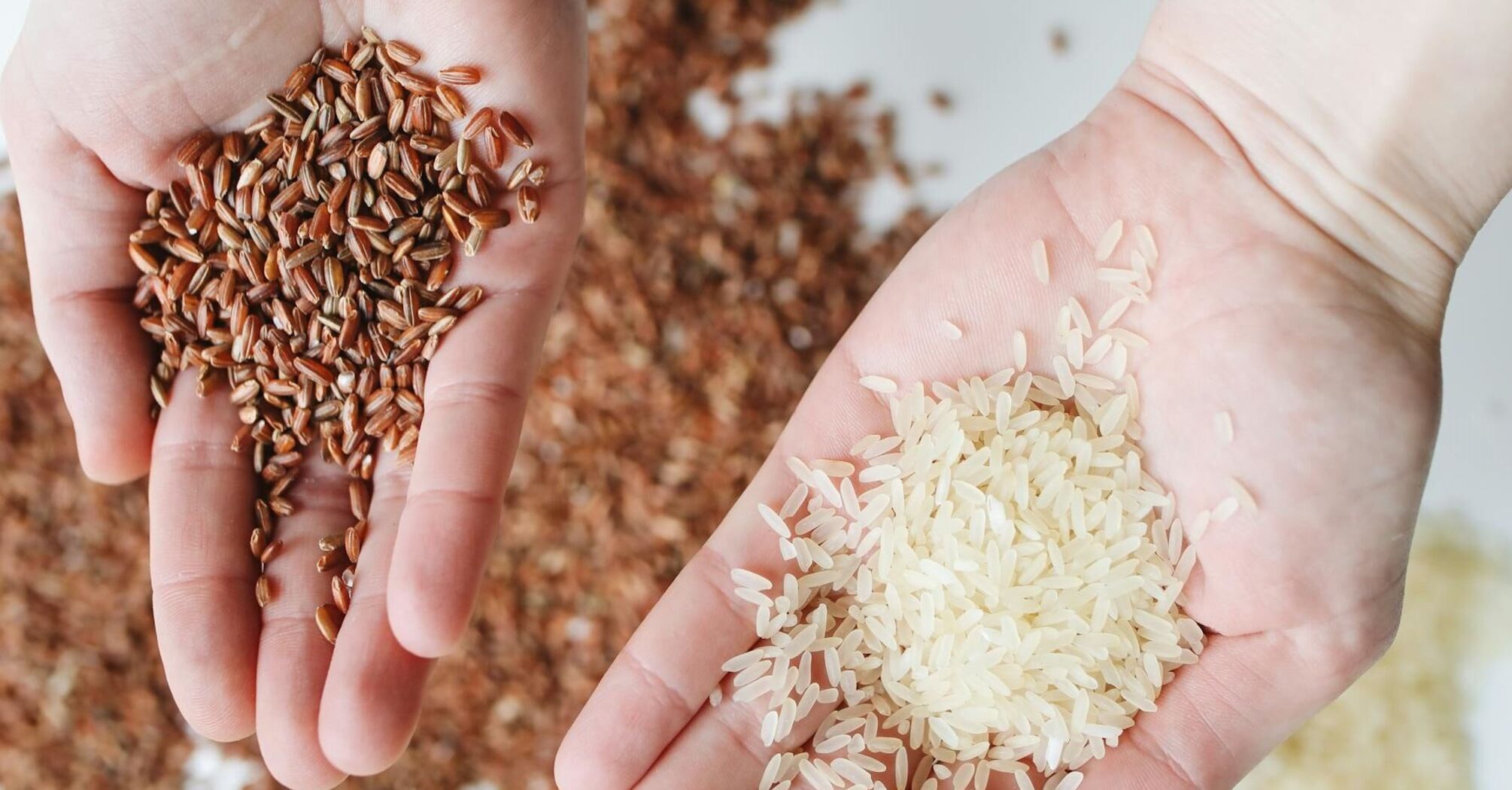 Коричневый или белый: какой рис более полезный