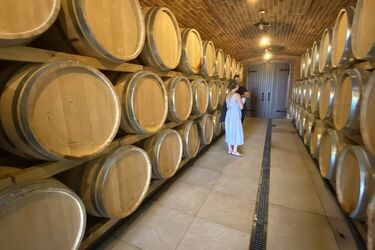 Найп’янкіший туризм в Україні. Кращі дегустаційні зали від українських виноробів