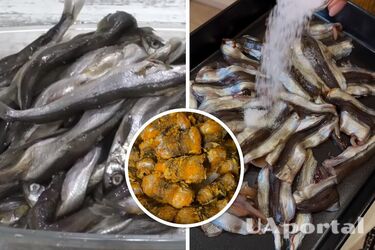 Не треба смажити: як смачно приготувати мойву, щоб не забруднити плиту (відео)