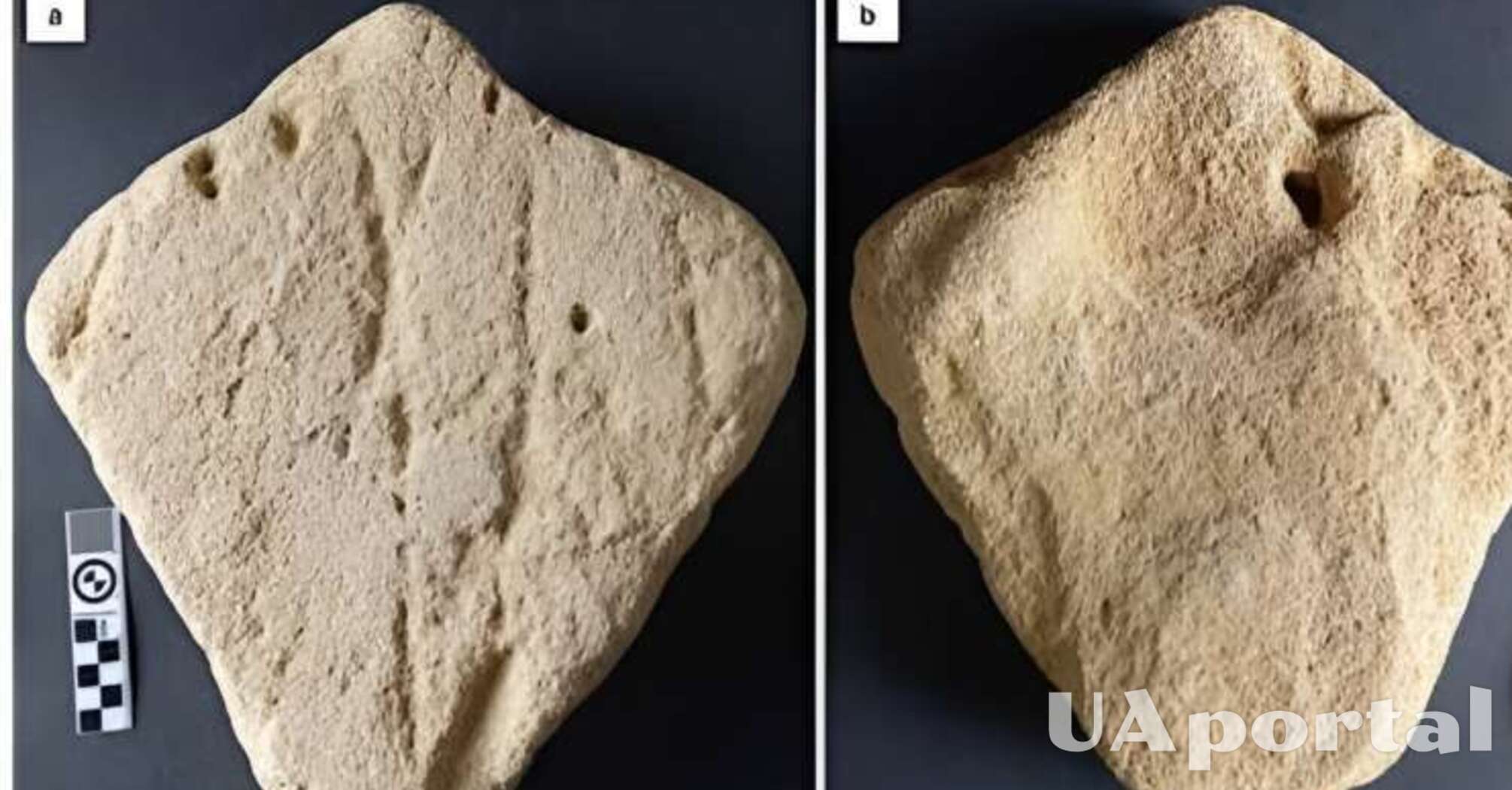 Археологи обнаружили на территории Южно-Африканской республики песчаную скульптуру голубого ската в возрасте 130 тысяч лет