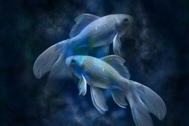 Совместимость знаков зодиака