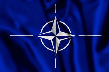 Наскільки реальні солдати НАТО в Україні