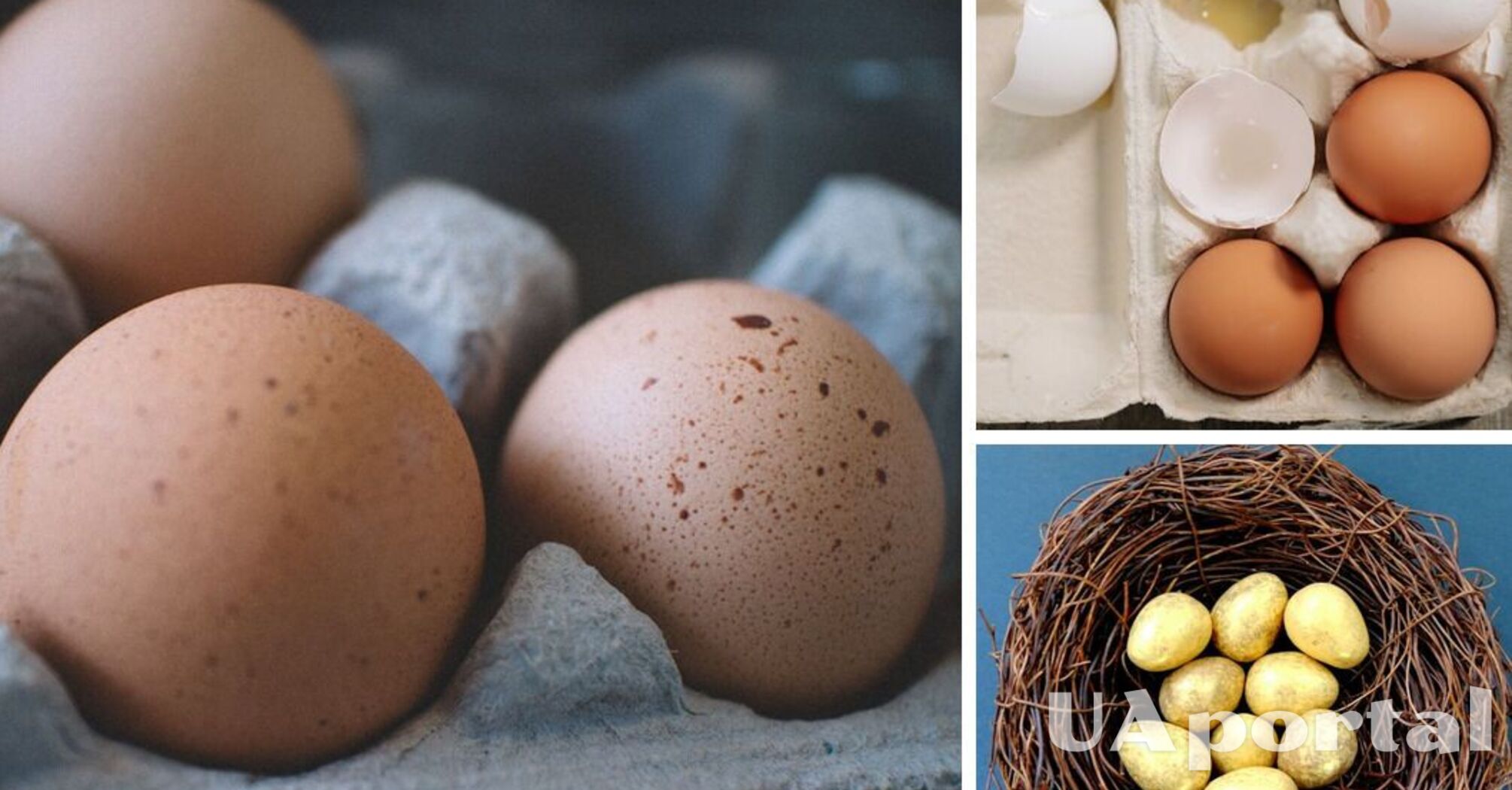 Как выбрать качественные и свежие яйца на Пасху: советы специалистов