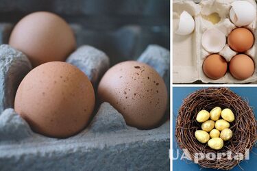 Як вибрати якісні та свіжі яйця на Великдень: поради фахівців
