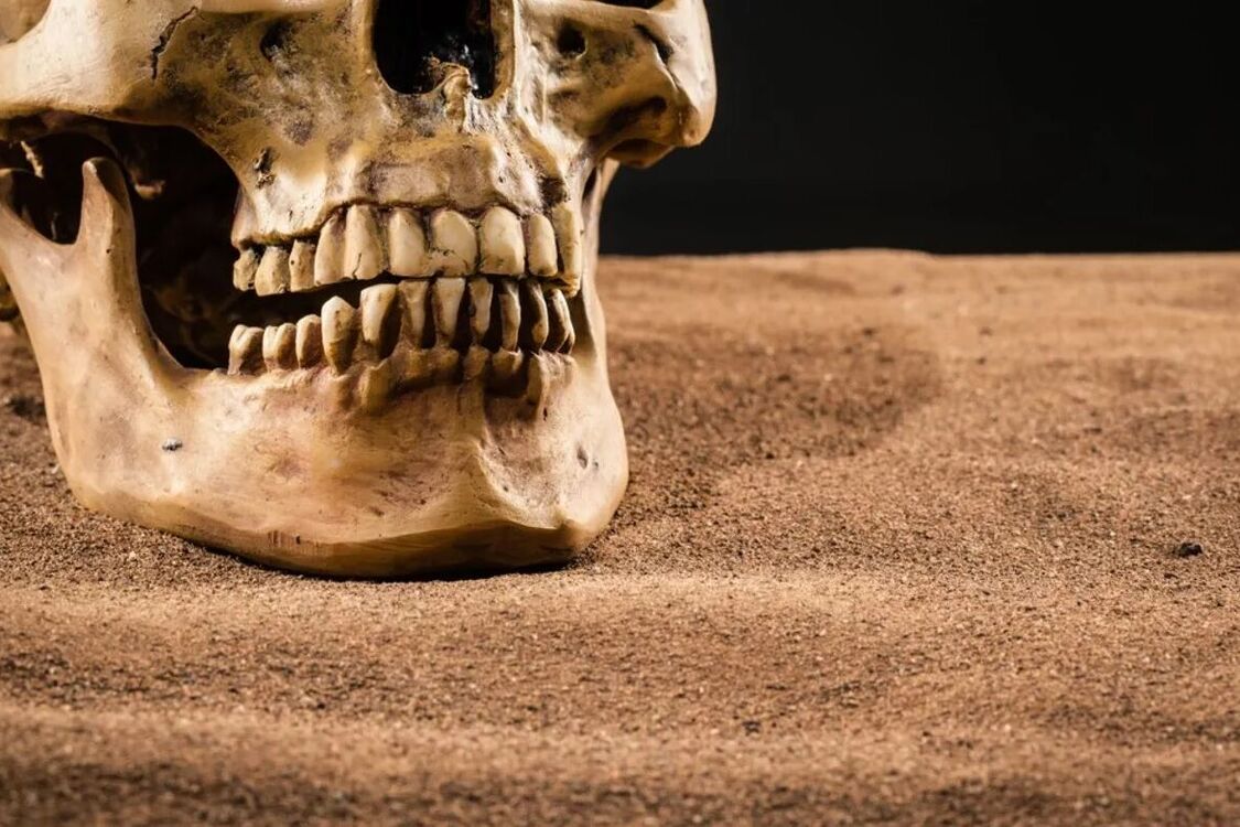 Eggs and bull hooves: archaeologists have learned how prehistoric people brushed their teeth
