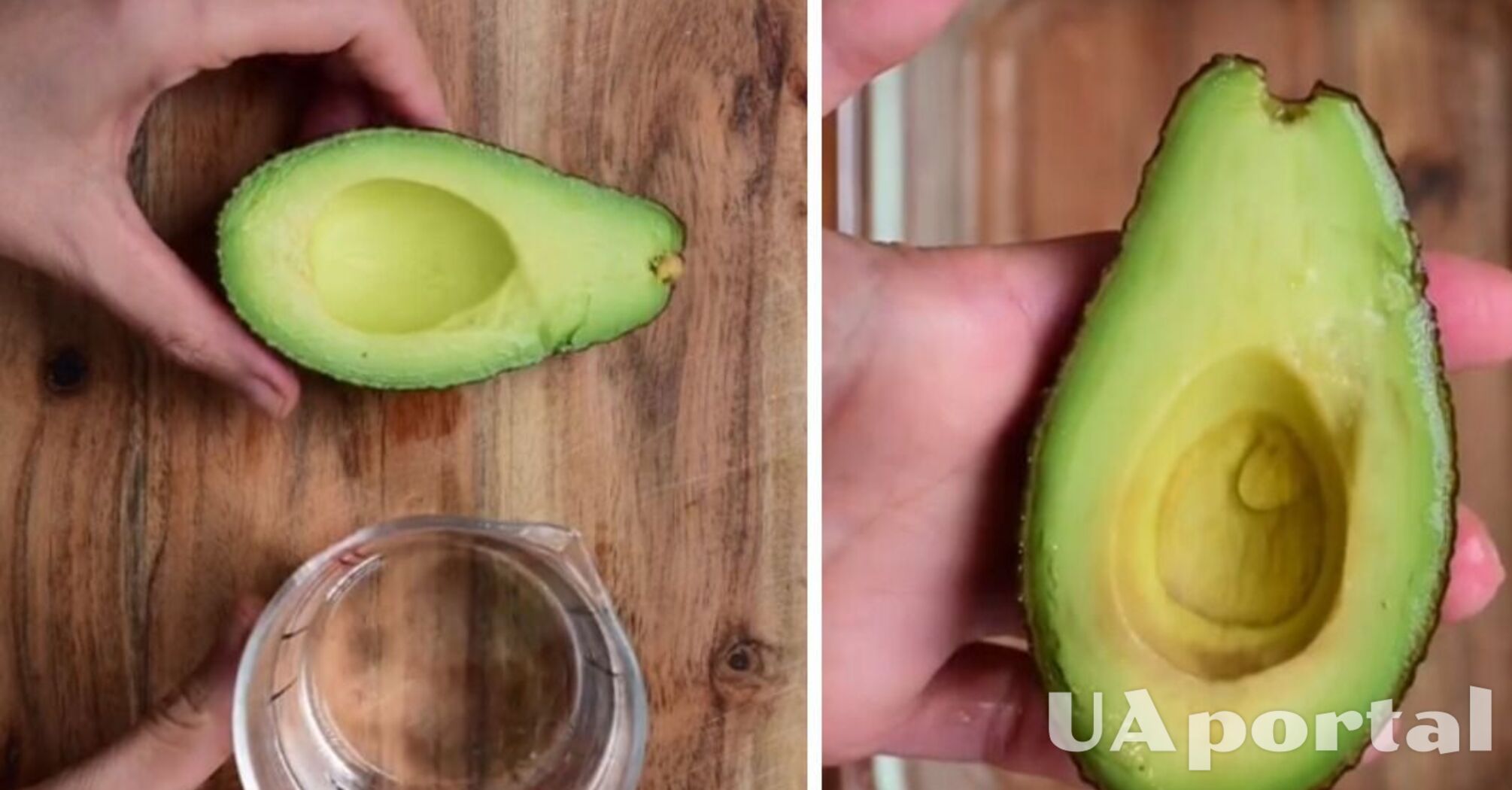 Эксперт назвала лучший способ хранения авокадо: будет максимально свеж и вкусен