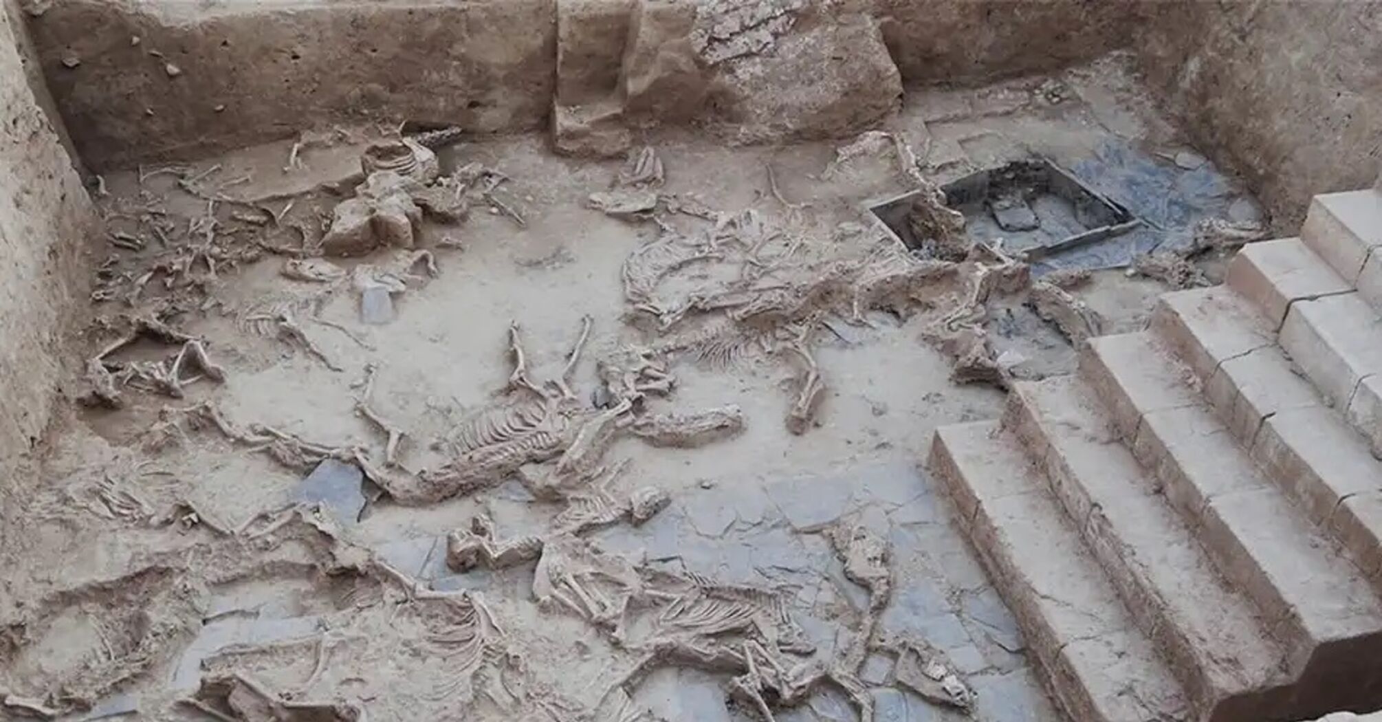 W Hiszpanii odkryto makabryczny rytuał największej ofiary ze zwierząt w zachodniej części Morza Śródziemnego (zdjęcie)