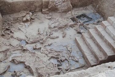 Жуткий ритуал крупнейшего жертвоприношения животных в Западном Средиземноморье обнаружили в Испании (фото)