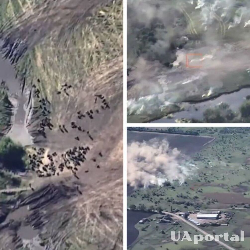 Десятки двохсотих: Сили оборони України уразили ATACAMS тренувальний полігон окупантів біля Рогового на Луганщині (відео)