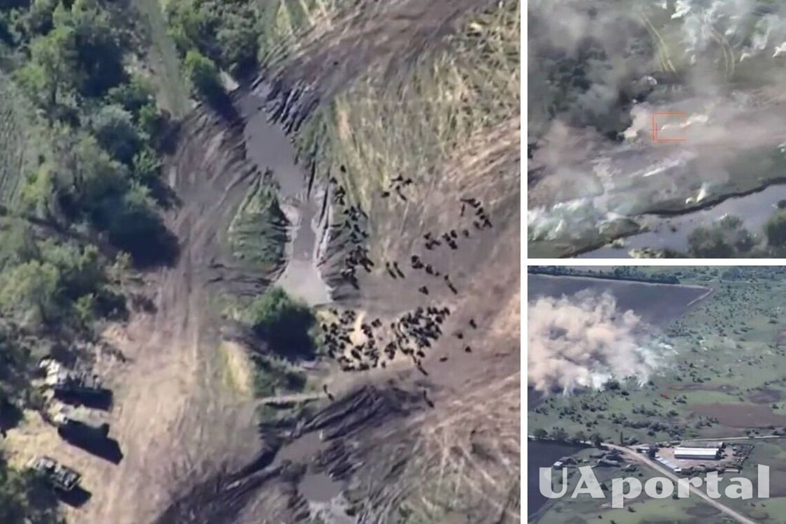 Десятки двухсотых: Силы обороны Украины поразили ATACAMS тренировочный полигон оккупантов возле Рогового на Луганщине (видео)