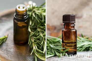 Як покращити стан волосся та пришвидшити їх ріст: допоможе простий лайфхак