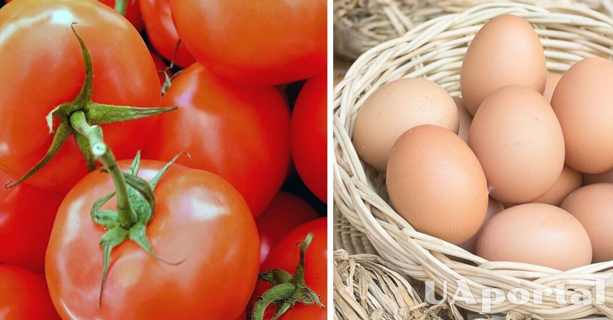 Фахівці підказали рецепт дешевого домашнього добрива для помідорів, щоб збільшити врожай