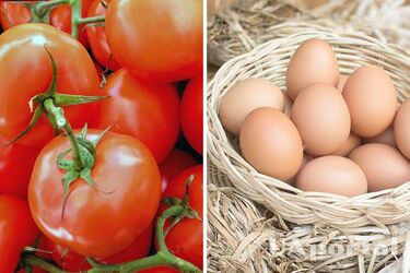 Фахівці підказали рецепт дешевого домашнього добрива для помідорів, щоб збільшити врожай