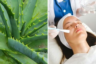 This unique product will reduce wrinkles on the face in three weeks