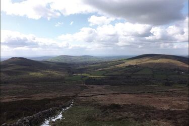 В Ірландії знайшли неолітичну 'дорогу мертвих' (фото)