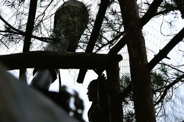 Воїни 63 ОМБр показали, як невпинно 'кошмарять' ворога на полі бою (відео)