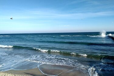 Де відпочити в Одесі: обираємо між курортом та санаторієм