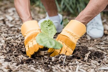 Без соли и уксуса: самый простой метод естественного уничтожения сорняков раскрыли садоводы