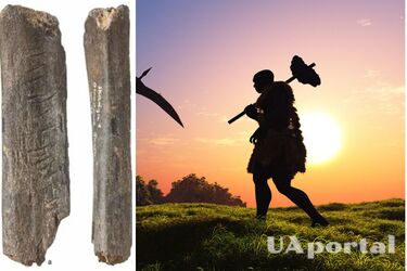 Неандертальці 130 тисяч років тому займалися мистецтвом: що дізналися науковці