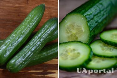Фахівці підказали як зберегти огірки хрусткими та свіжими якомога довше