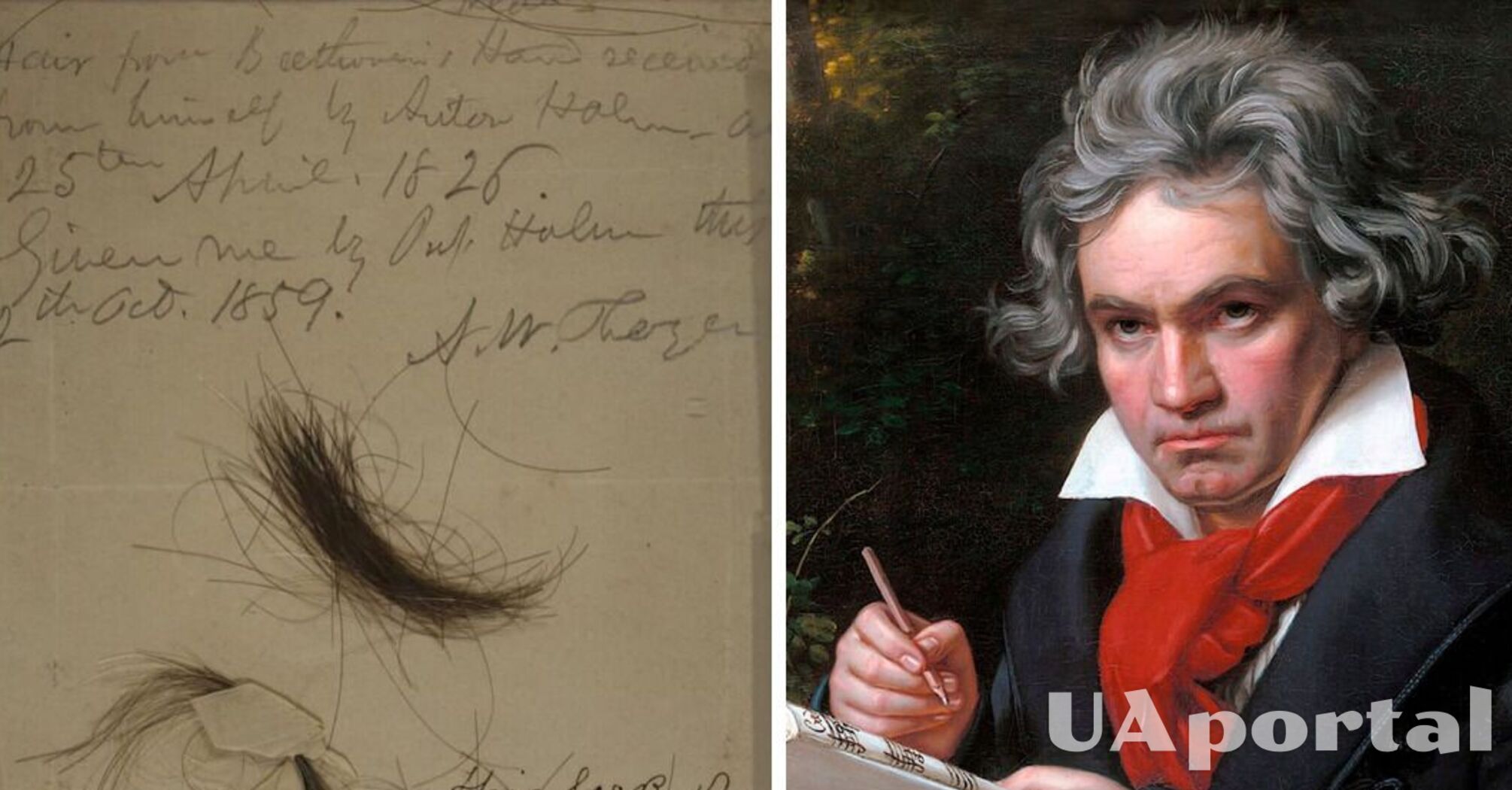Подсказали волосы: ученые выяснили, что привело к глухоте у Бетховена