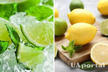 Двоюродные братья: в чем разница между лимоном и лаймом