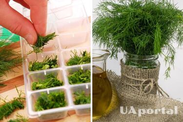Як зберегти свіжість кропу: лайфхак від господинь