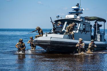 Хто реально домінує на Чорному морі