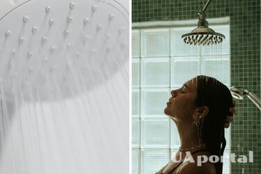 Когда принимать душ утром или вечером: что говорит наука