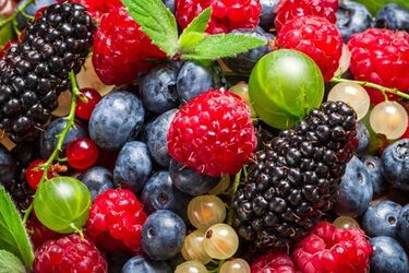 Как правильно называть ягоды на украинском языке