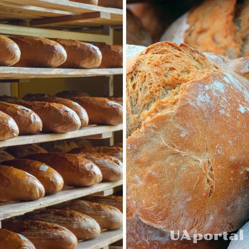 У пекарні розповіли про найкращий спосіб зберігання хліба: довго не черствітиме