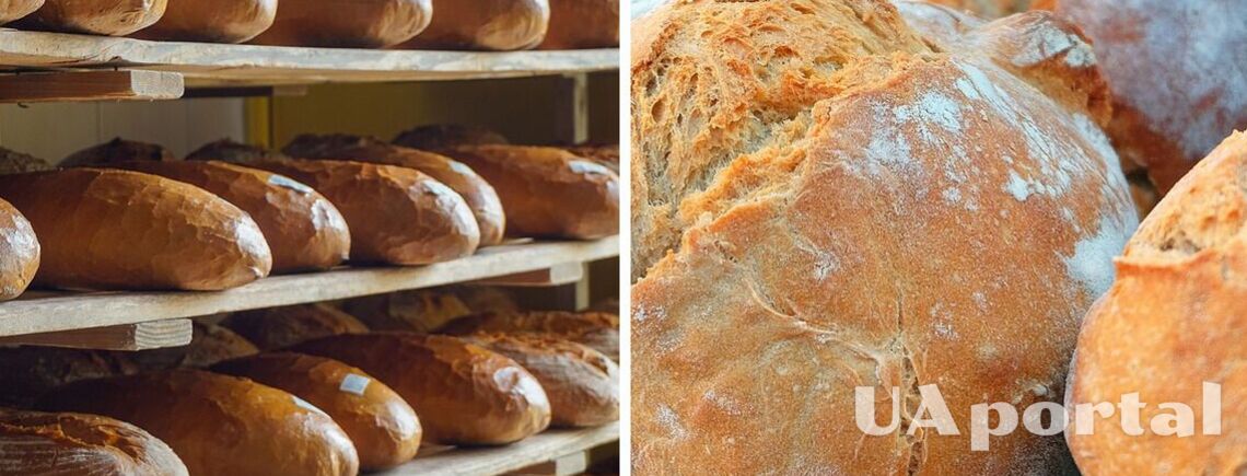 В пекарне рассказали о лучшем способе хранения хлеба: долго не черствеет