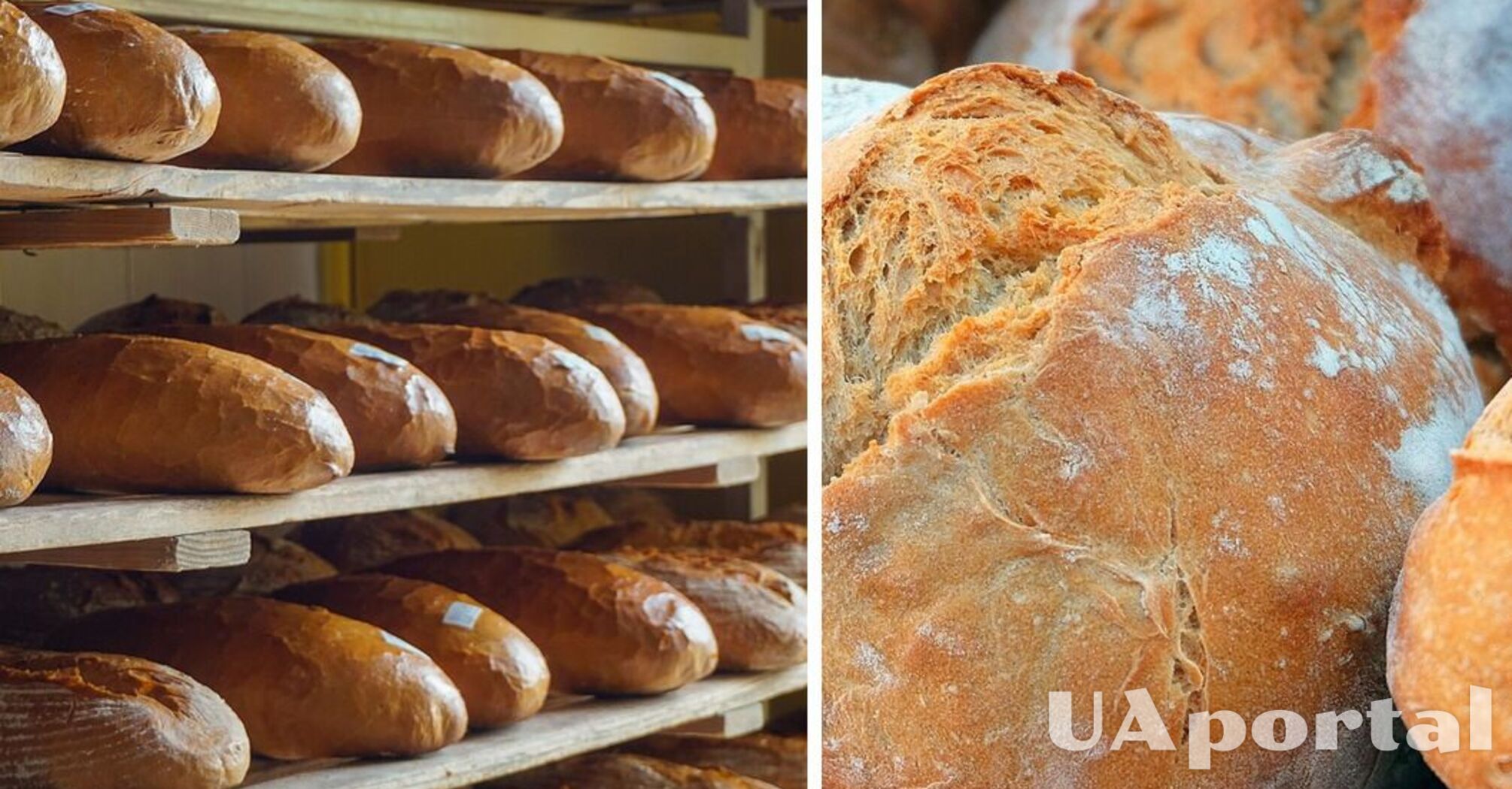 У пекарні розповіли про найкращий спосіб зберігання хліба: довго не черствітиме