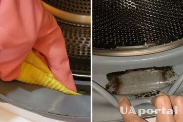 Плесень в стиральной машинке: как избавиться без химии