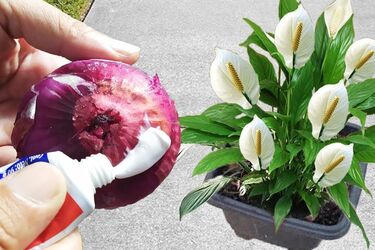 Старую зубную пасту выбрасывать не стоит: десять практических применений