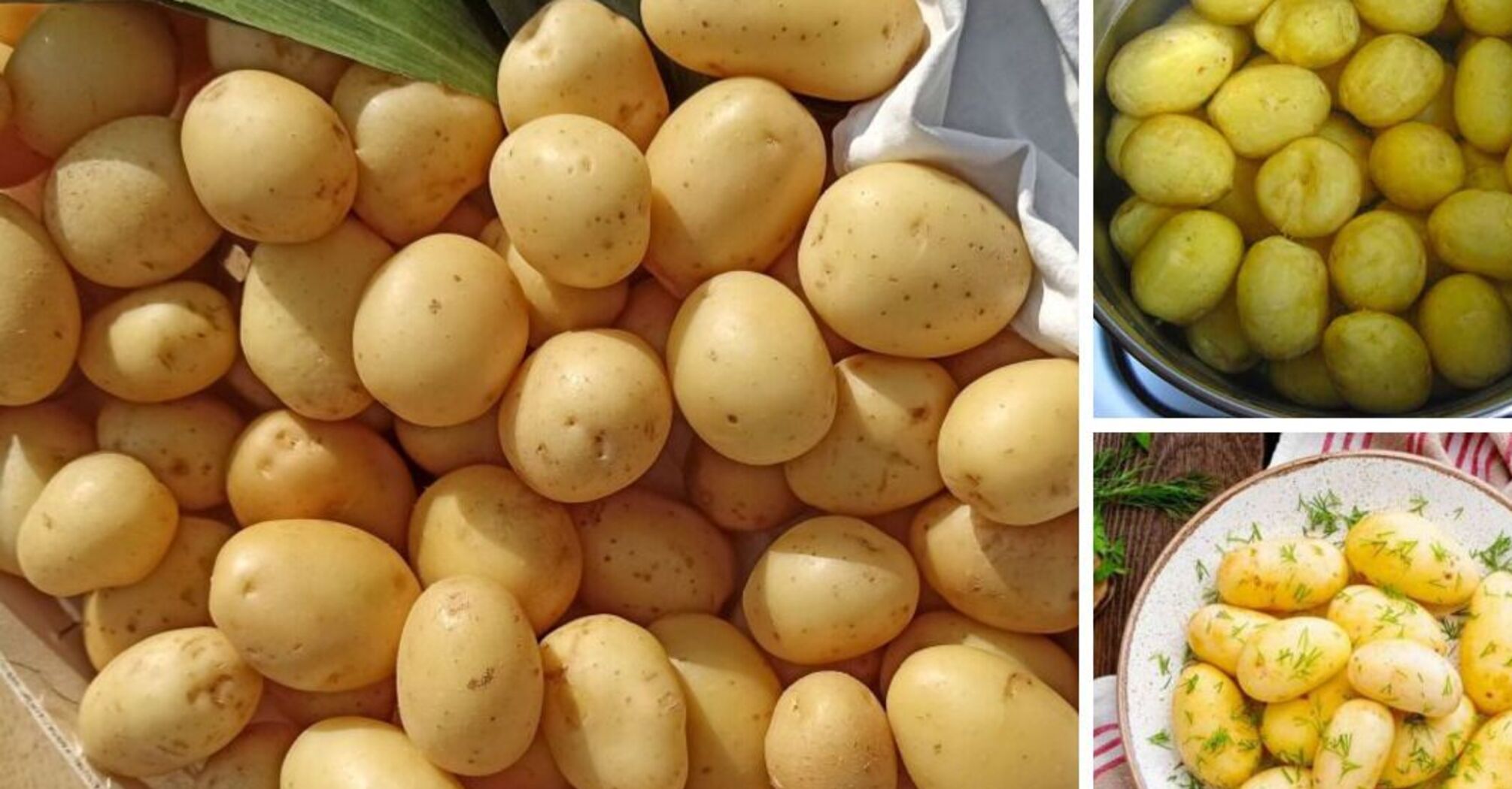 Шесть простых методов начистить кучу молодого картофеля в считанные минуты