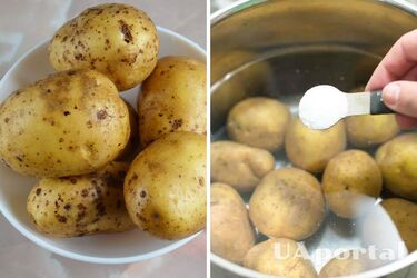 Зачем повара добавляют уксус во время варки картофеля: секрет профессионалов раскрыт