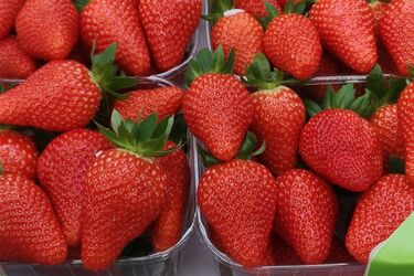 Сезон клубники: кому следует совсем отказаться от употребления