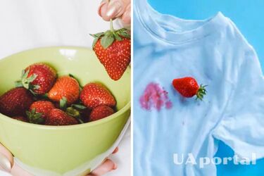 Актуальная проблема: как вывести пятна от клубники из одежды