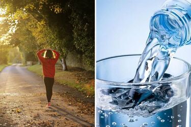 Effective tips for healthy digestion