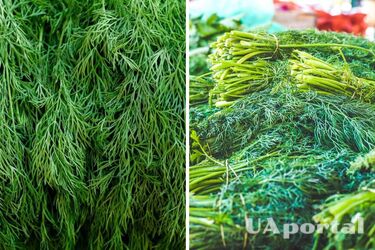 Навіщо вішати кріп над дверима