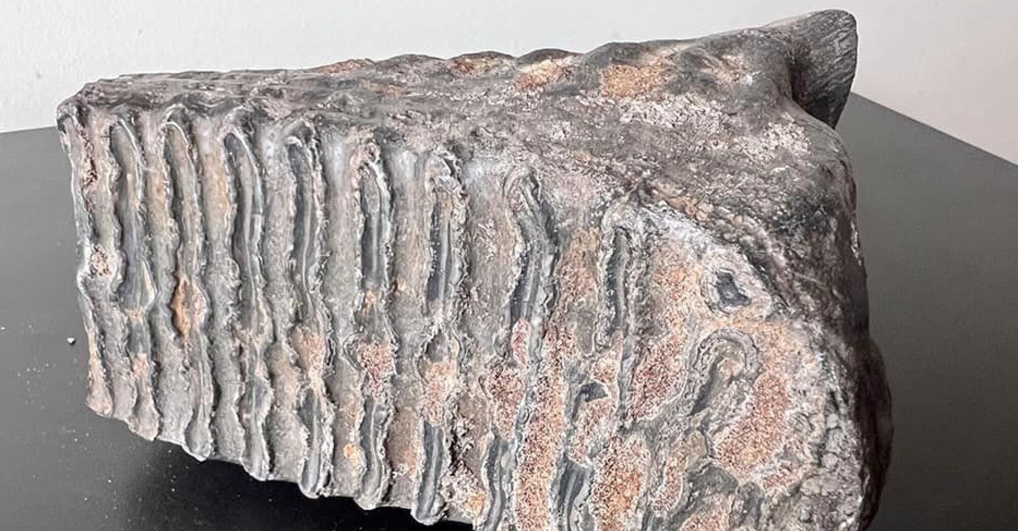 Пересилався як 'металевий предмет за 50 доларів': митники знайшли зуб мамонта у посилці до Катару (фото)