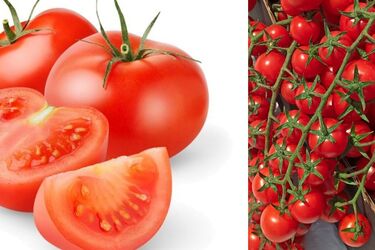 Сезонный овощ, у которого нет побочных действий и противопоказаний