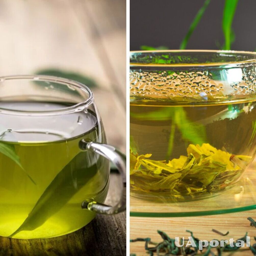 Покращує пам‘ять, піднімає настрій та розгладжує зморшки: корисні властивості зеленого чаю