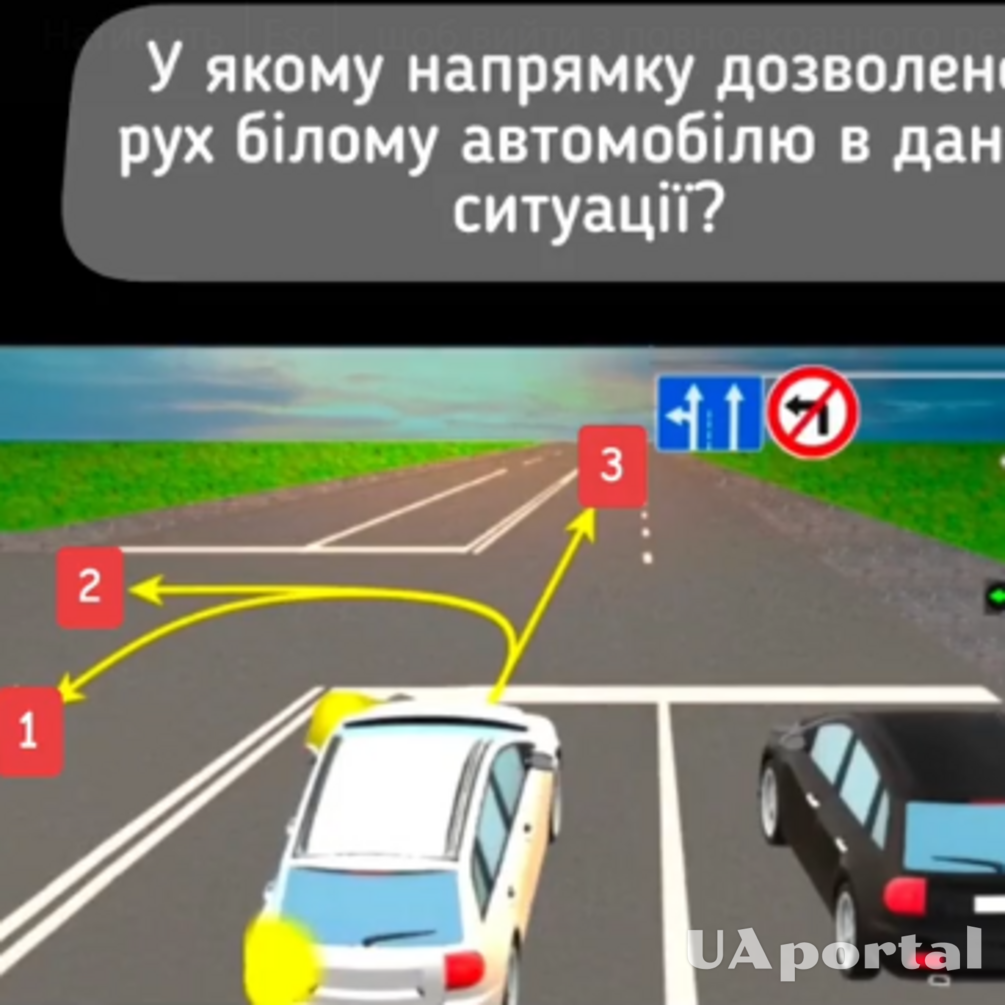 В каком из трех направлений водителю разрешено двигаться: тест на знание ПДД (видео)